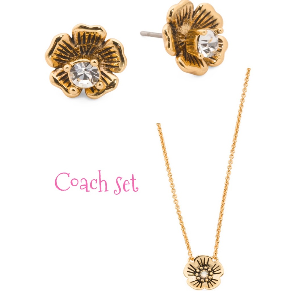 Coach •Tearose• set new with tag
